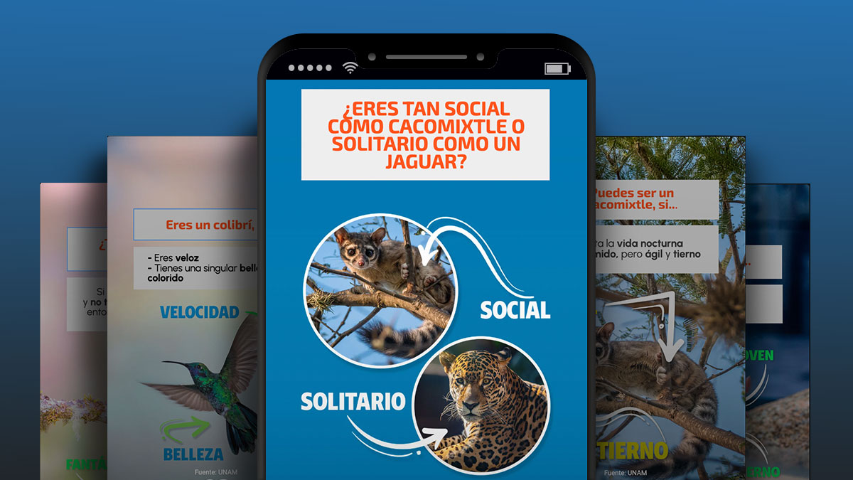 Nota Animales