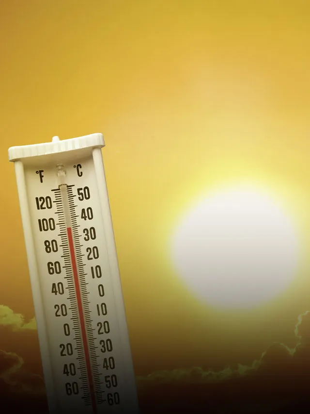 Canícula, seis recomendaciones para prevenir enfermedades por el calor
