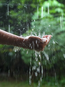3 tips para aprovechar el agua de lluvia